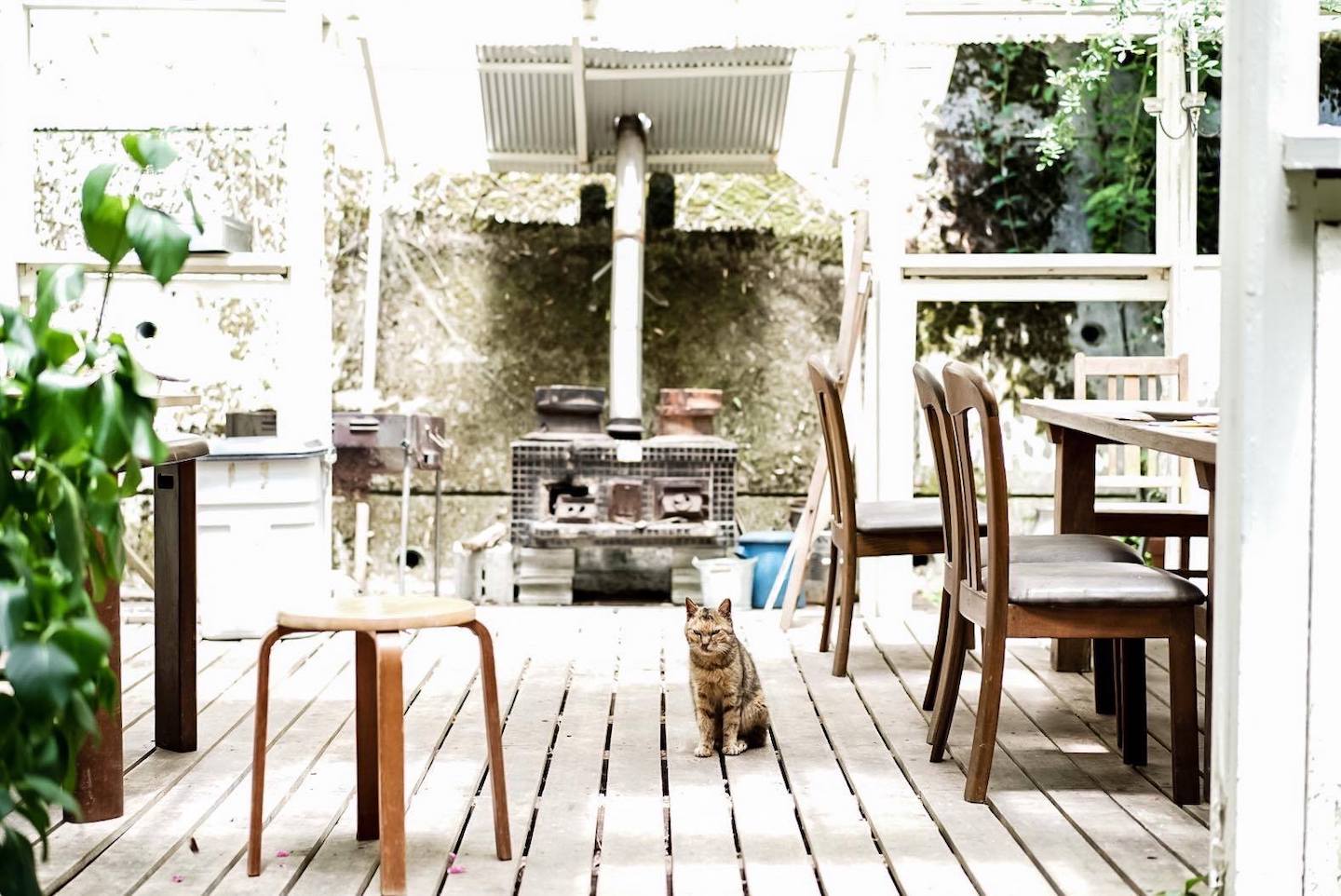 カフェ＆ギャラリー横のテラスです。
外での会食も楽しめる気持ちいい場所です。

ねこたちがくつろぐ場所でもあります。